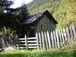 Kirwiese
